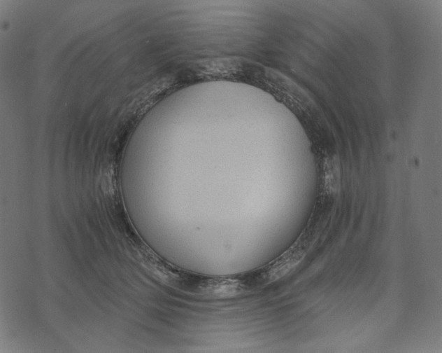 X0000073530514200608211833