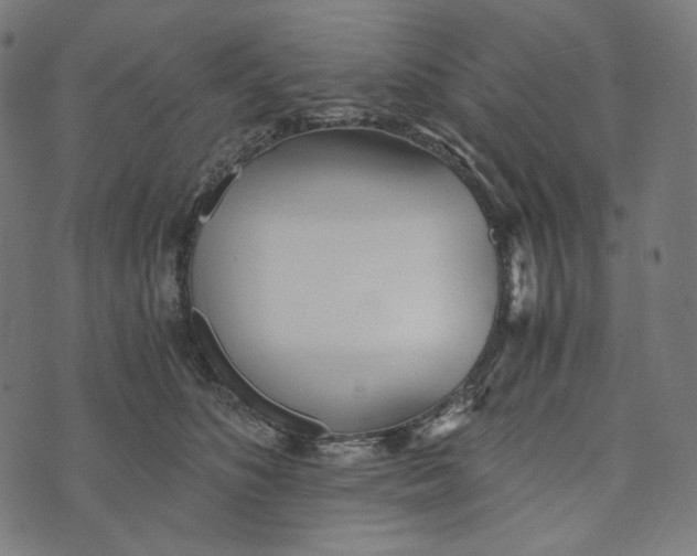 X0000073530516200608211833