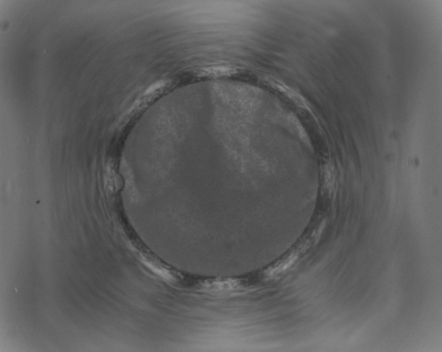 X0000073530517200608211833