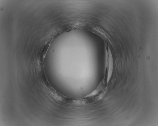 X0000073530520200608211833