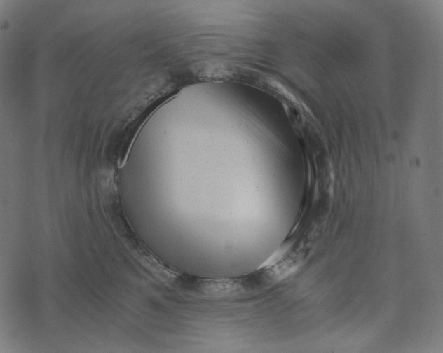 X0000073530521200608211833