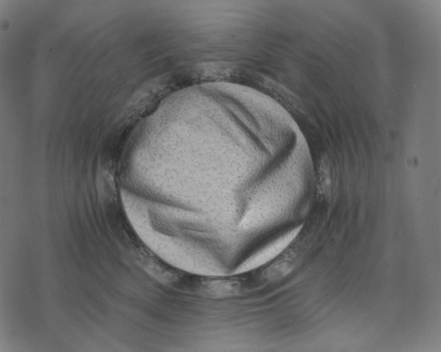 X0000073530522200608211833