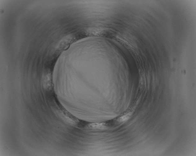 X0000073530526200608211833