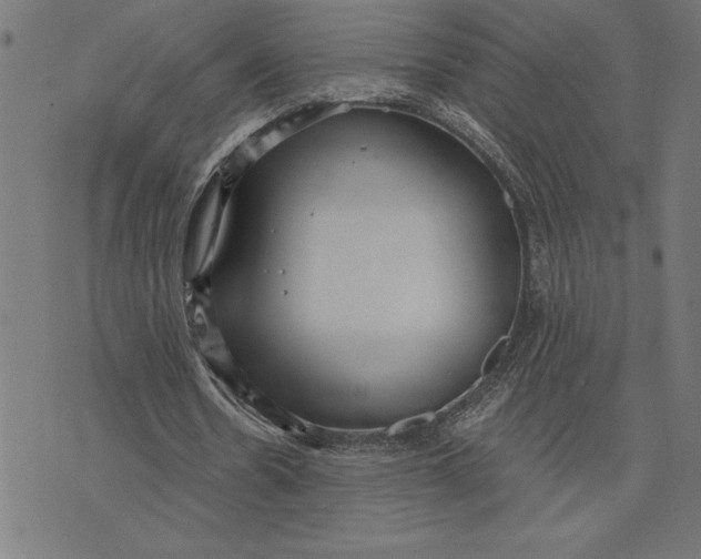 X0000073530530200608211832