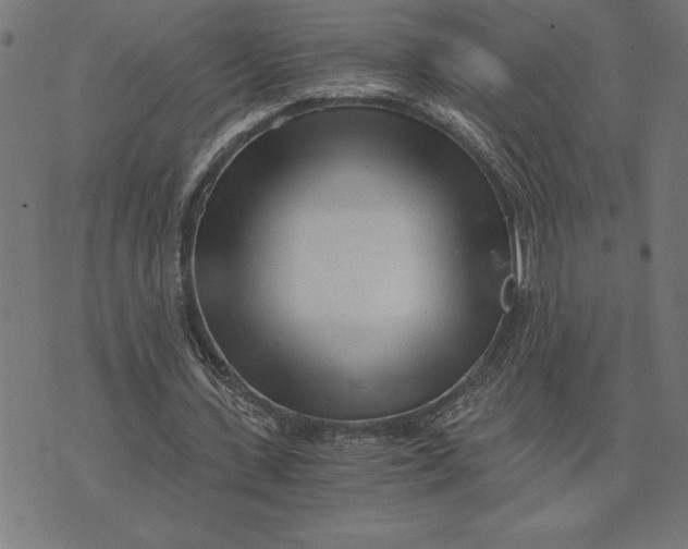 X0000073530531200608211832