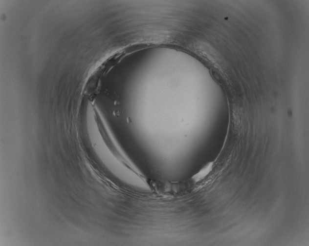 X0000073530532200608211832