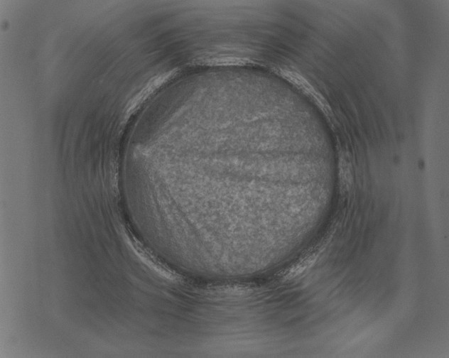 X0000073530533200608211832