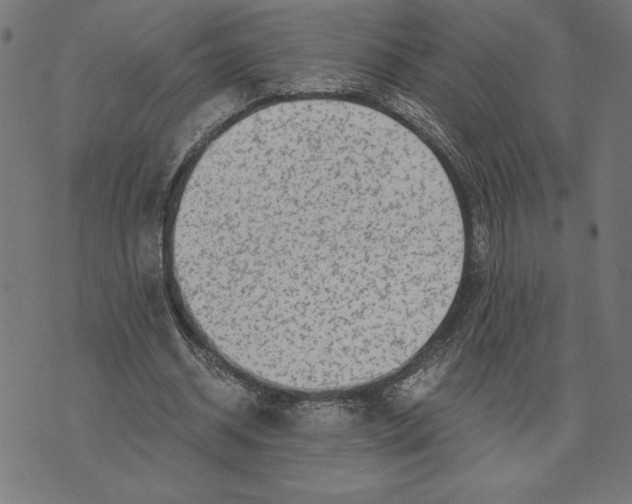 X0000073530534200608211832