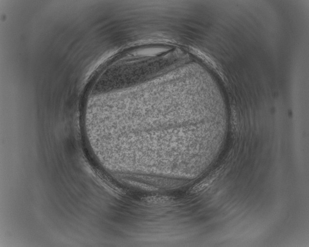 X0000073530535200608211832
