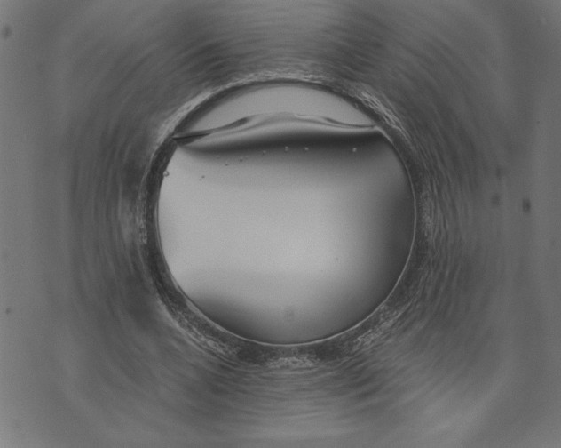 X0000073530536200608211832