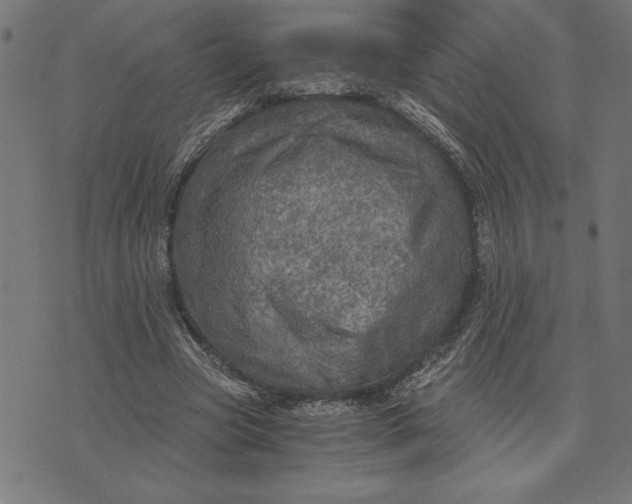 X0000073530537200608211832