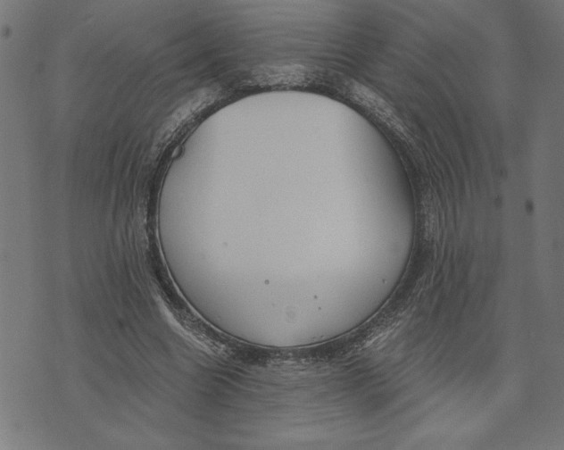 X0000073530538200608211832