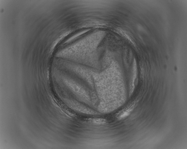 X0000073530539200608211832