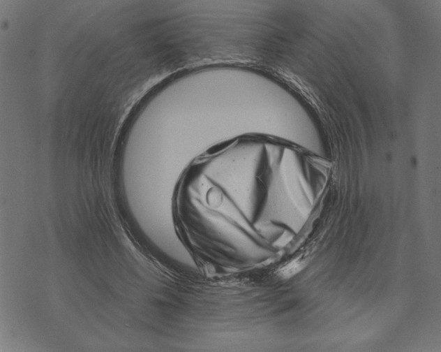 X0000073530540200608211832