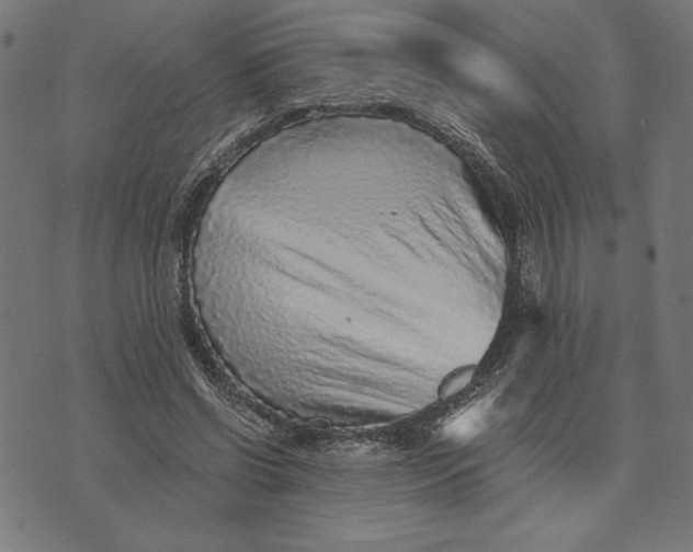 X0000073530542200608211832