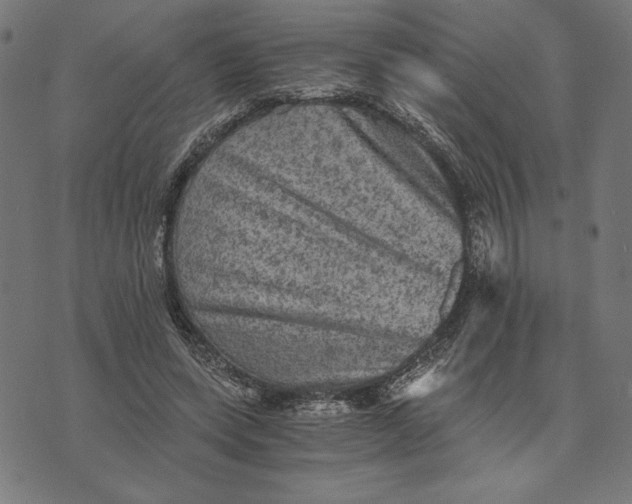 X0000073530543200608211832