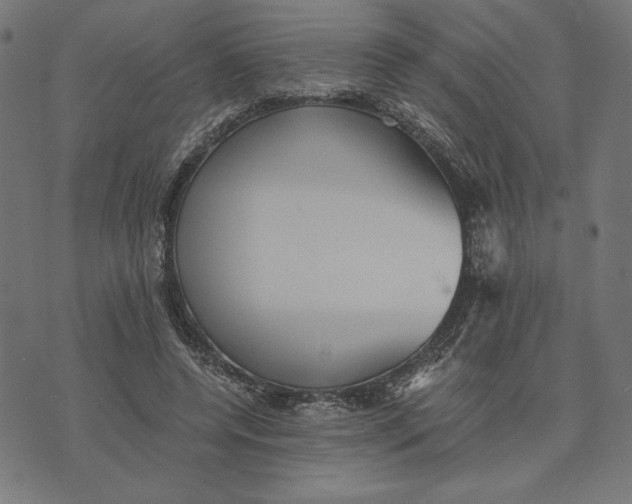 X0000073530544200608211832