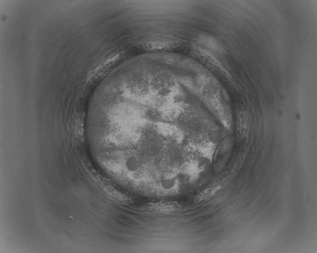 X0000073530545200608211832