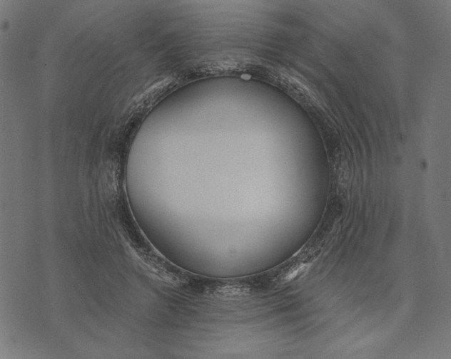 X0000073530546200608211832