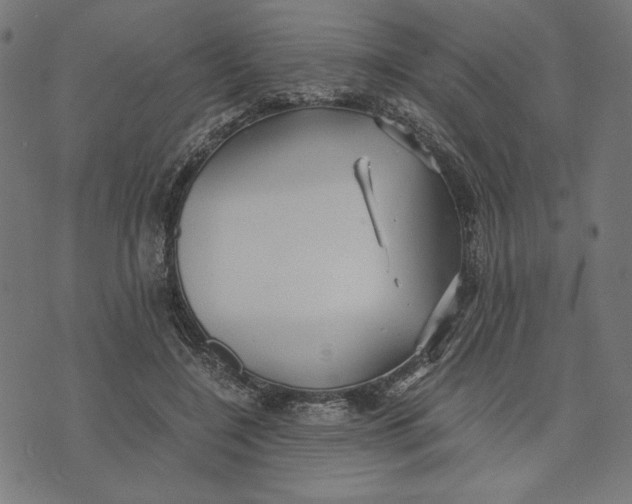 X0000073530548200608211832