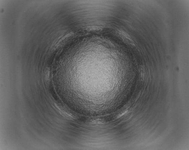 X0000073530550200608211832