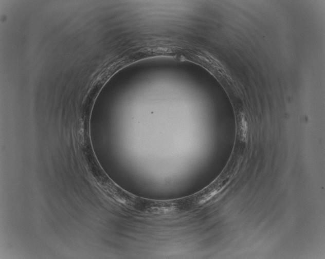 X0000073530552200608211832