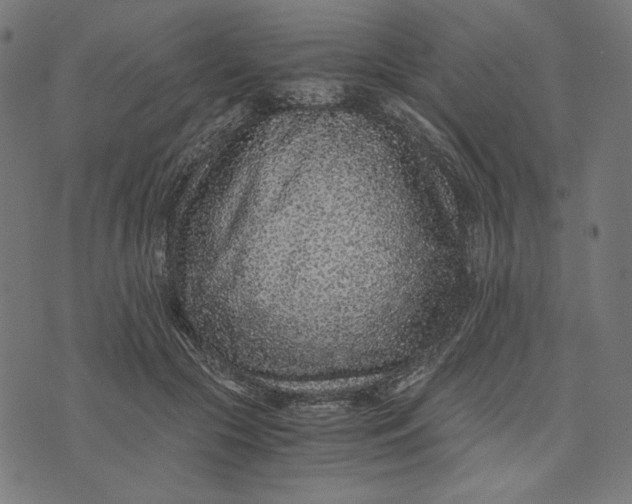 X0000073530553200608211832