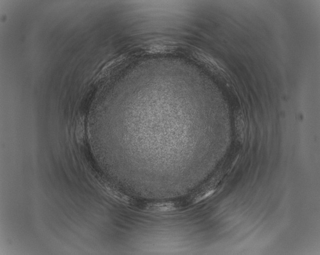 X0000073530554200608211832