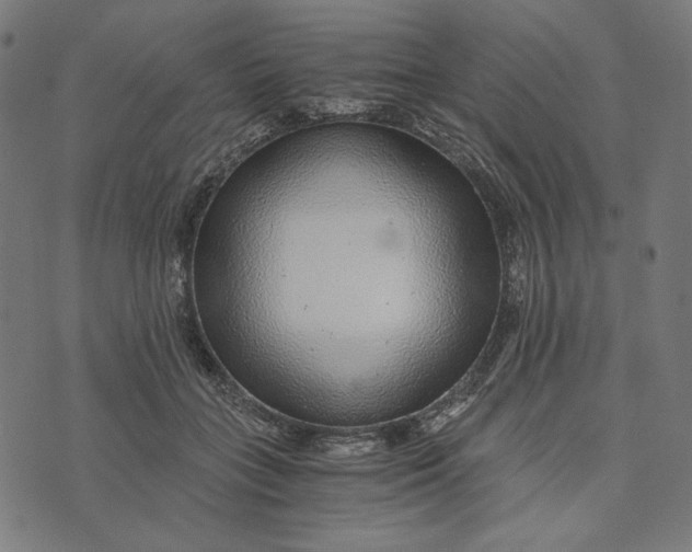 X0000073530555200608211832