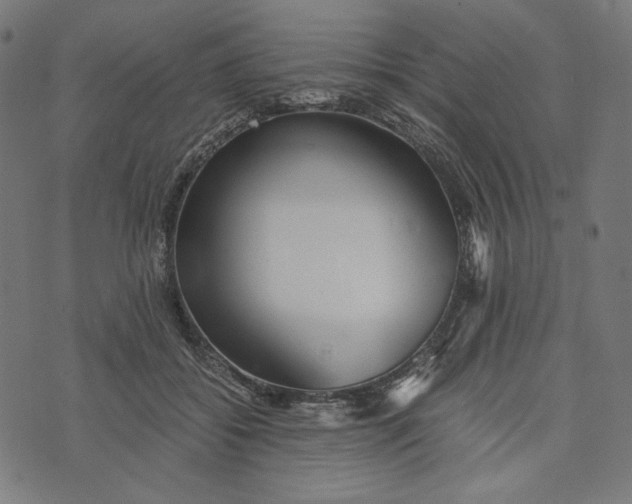 X0000073530556200608211832