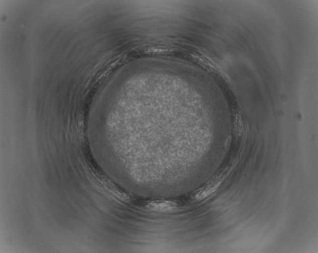 X0000073530557200608211832