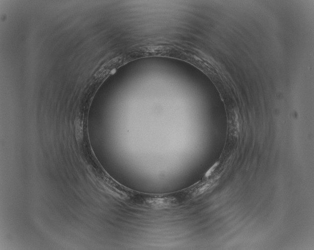 X0000073530558200608211832