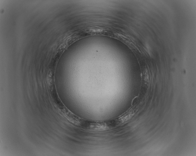 X0000073530559200608211832