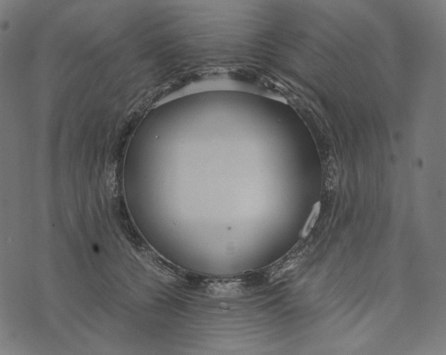 X0000073530560200608211832