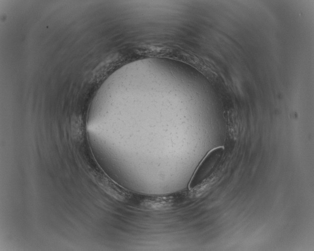 X0000073530563200608211832