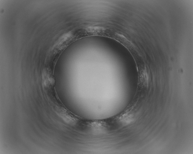 X0000073530566200608211833