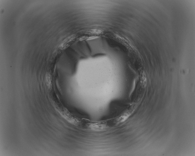 X0000073530568200608211833