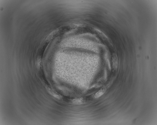 X0000073530574200608211833