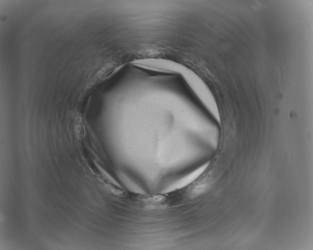 X0000073530576200608211833