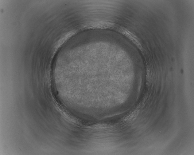 X0000073530578200608211832