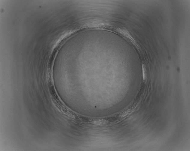 X0000073530579200608211832