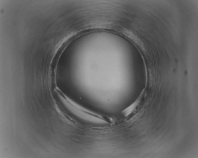 X0000073530580200608211832