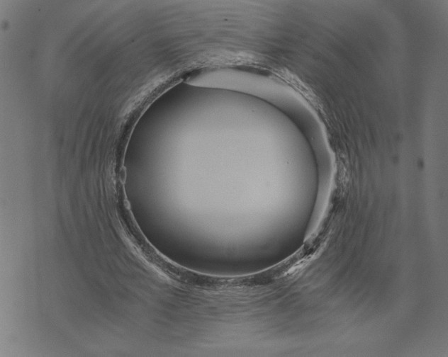 X0000073530581200608211832