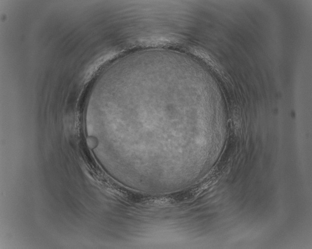 X0000073530583200608211832