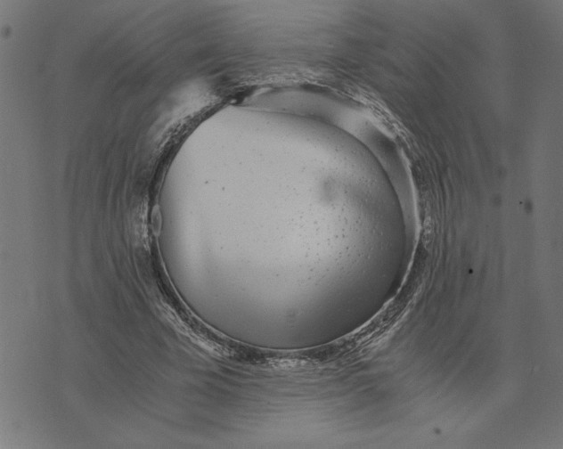 X0000073530585200608211832