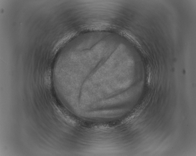 X0000073530586200608211832