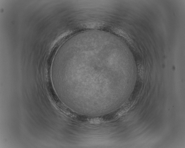 X0000073530587200608211832