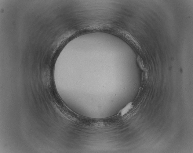 X0000073530588200608211832