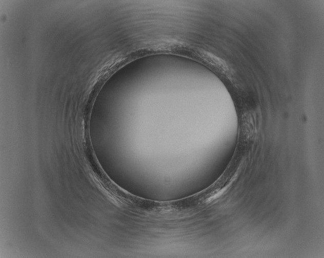 X0000073530589200608211832