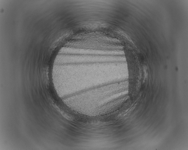 X0000073530590200608211832